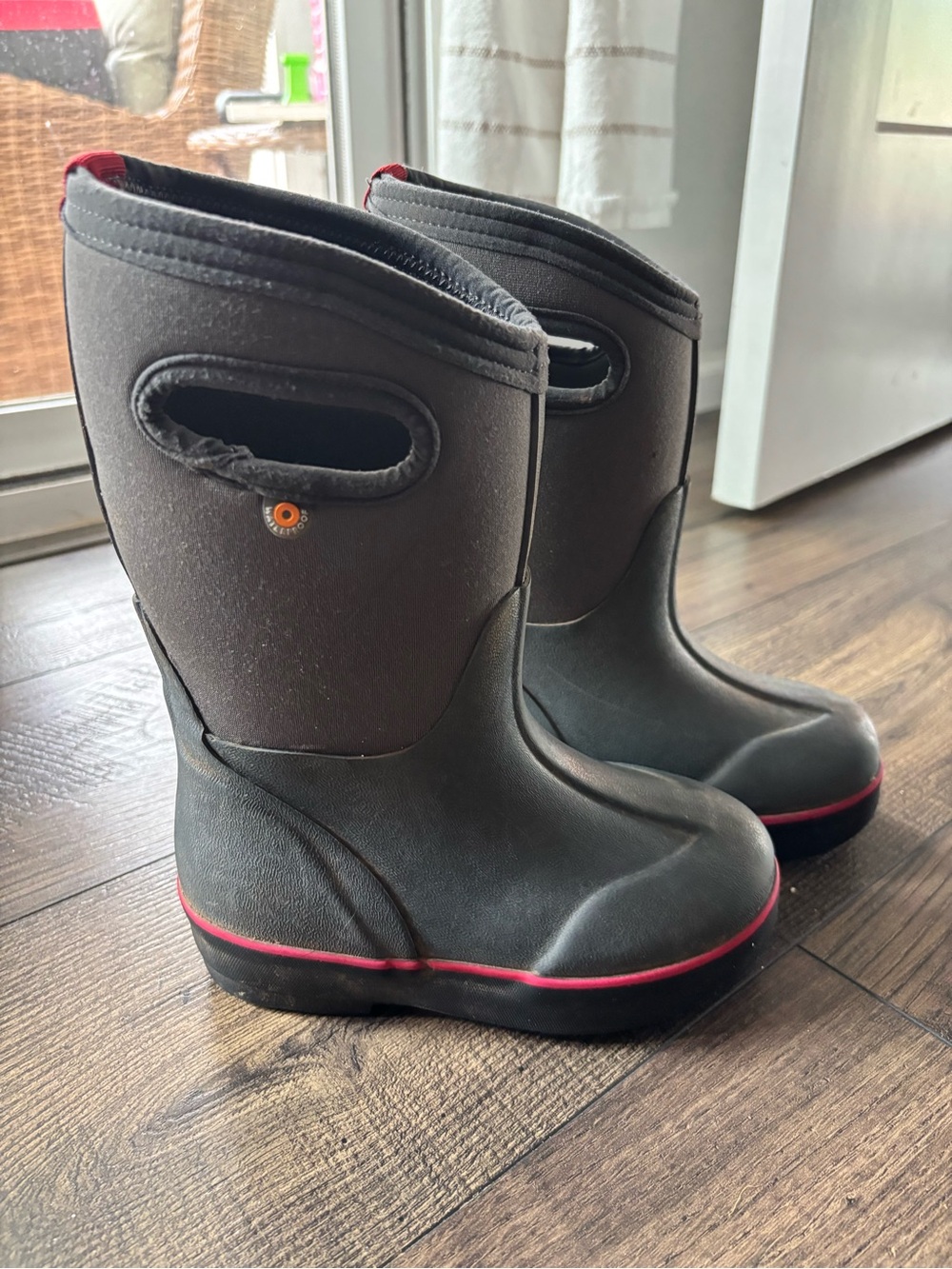 Bogs Insulated Snow and Rain Boots